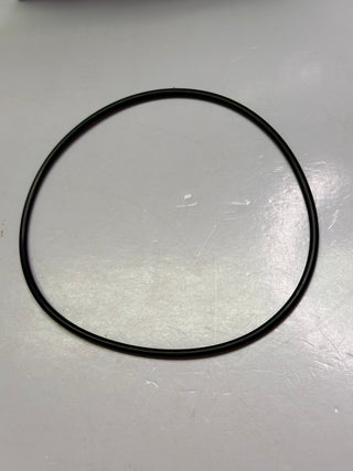 Pall H8900SKH 0-Ring Seal