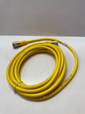 Turck RSM RKM 36-5M, U2260-00 Actuator and Sensor Extension Cable