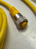 Turck RSM RKM 36-5M, U2260-00 Actuator and Sensor Extension Cable