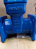 AUSLITE BIGA Resitliant Seated Gate Valve 2022408